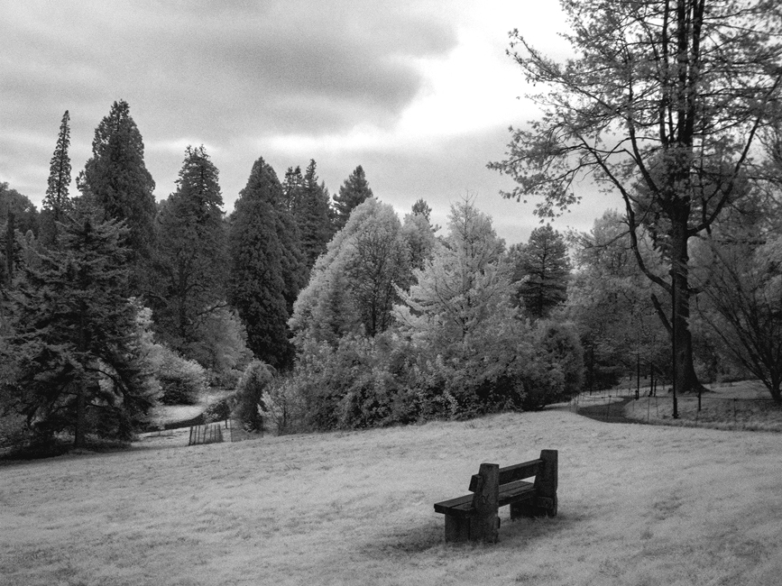 WI901 Bedgebury 10 11 24